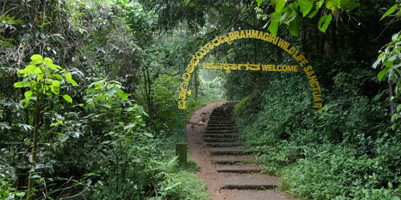 Brahmagiri Wildlife Sanctuary - 60 Kms